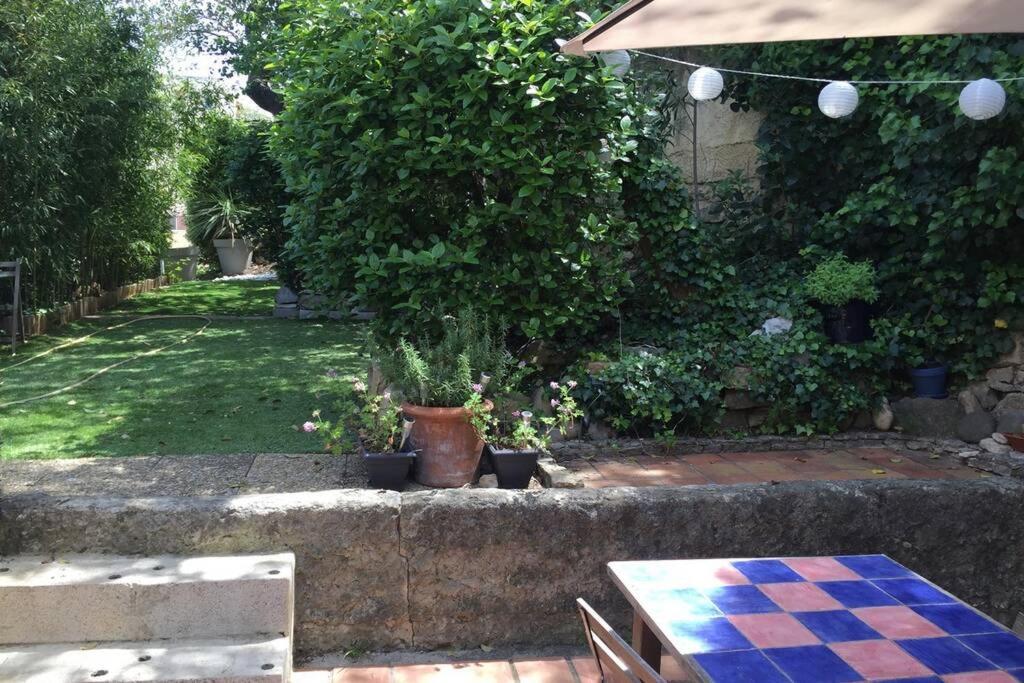 La Cassirene - Maisonnette Centre Cassis - Jardin Exterior foto